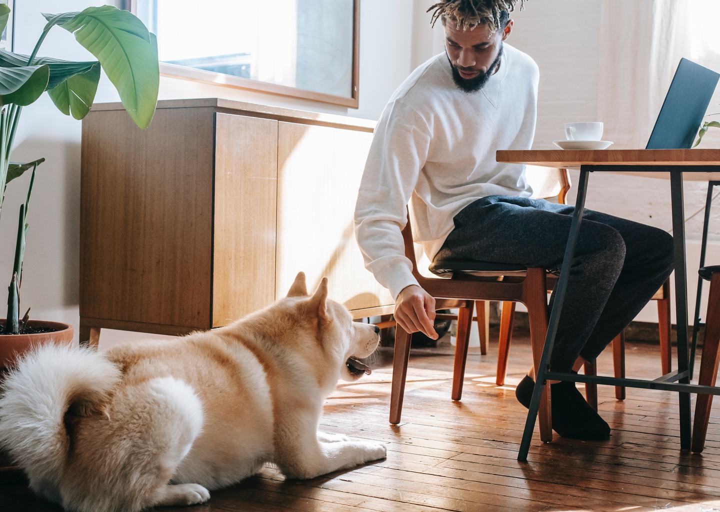 Man vid dator och en hund