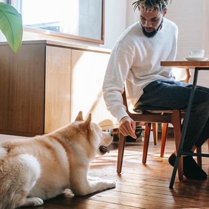 Man vid dator och en hund