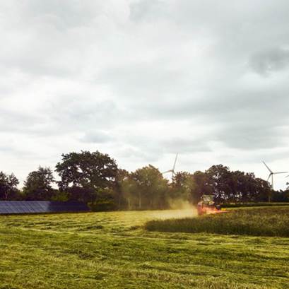 Äng med vindkraftverk