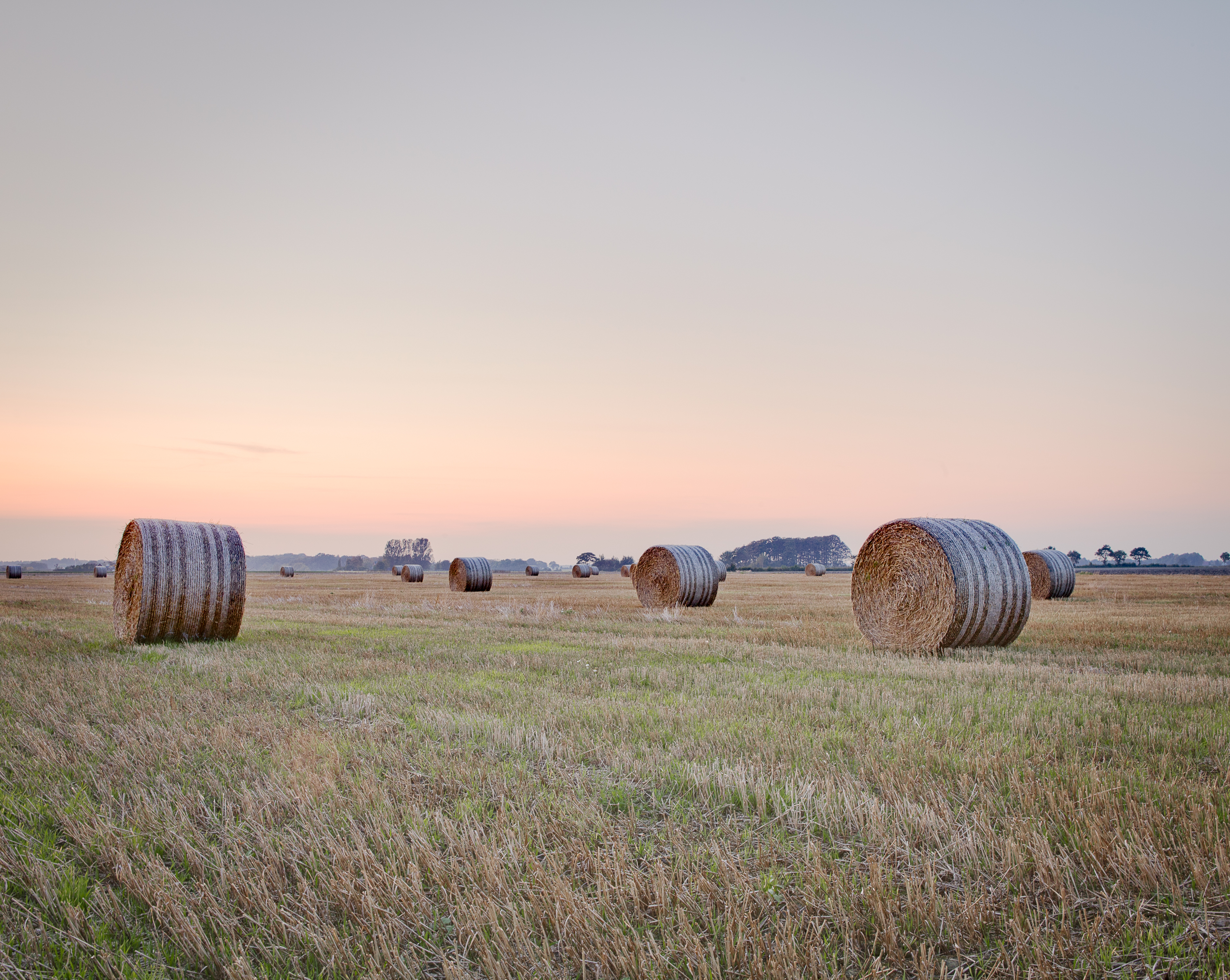 Höbalar på en åker