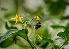 Ersättning avgifter produktionsanläggning 640x480