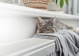 katt som värmer sig på ett element