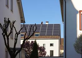 Shutterstock 1382720138